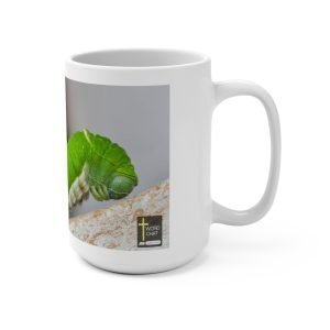 Romans 12:2 Be Transformed By Him