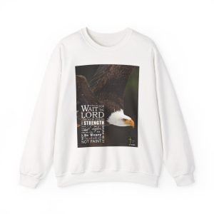 Isaiah 40:31 Wait For The Lord