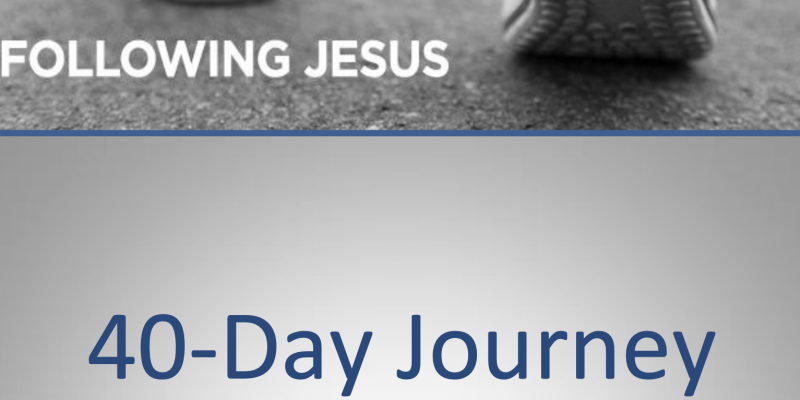 40 days with bonhoeffer